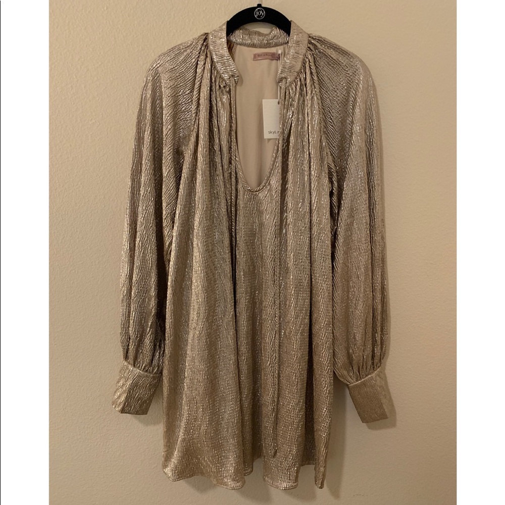 New Year’s Resolution Metallic Dress